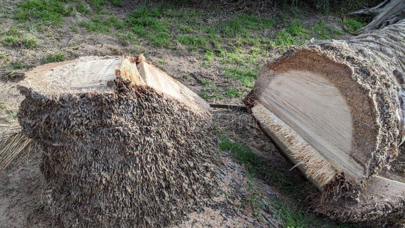 Dieta na redukcję tłuszczu