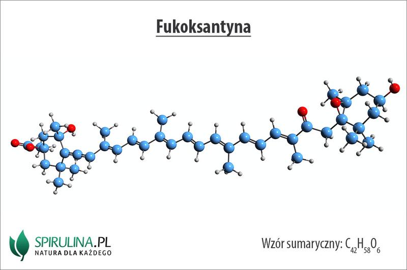 Fukoksantyna a metabolizm tłuszczów