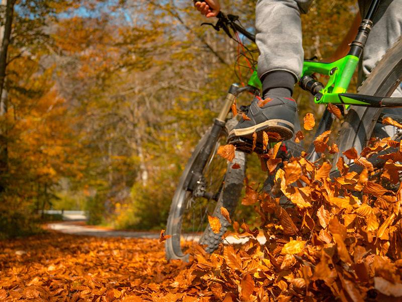 Dostosowanie ustawień roweru