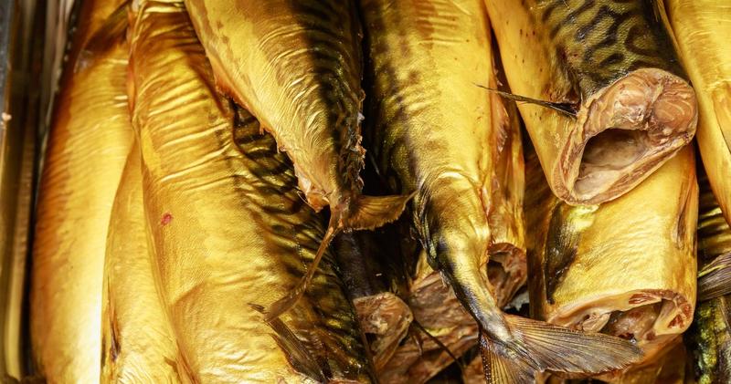 Eksploatacja ryb a suplementy