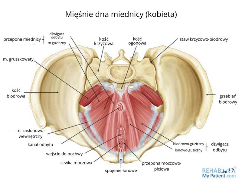 Psychologiczne korzyści ćwiczeń Kegla