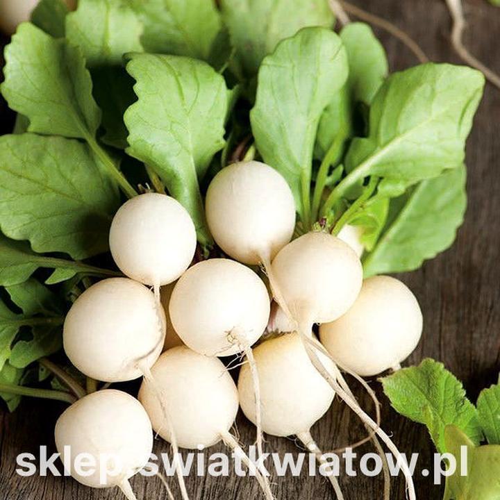 Zdrowie i białe warzywa