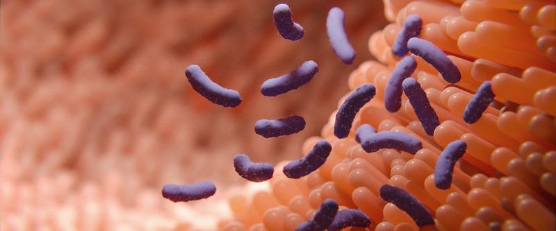 Zdrowie psychiczne i mikrobiom