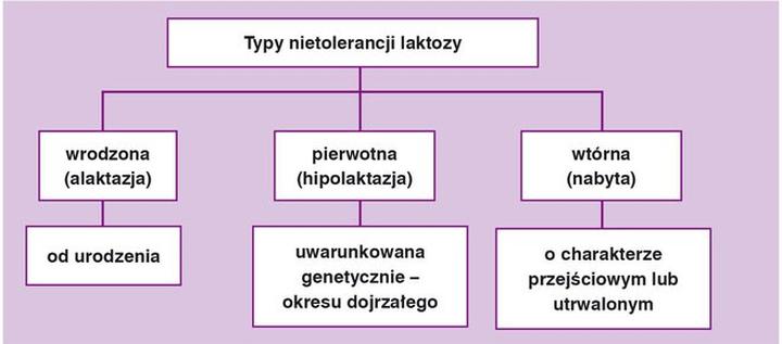 Hipolaktazja i nietolerancja laktozy – jak zrozumieć i radzić sobie z tymi dolegliwościami?