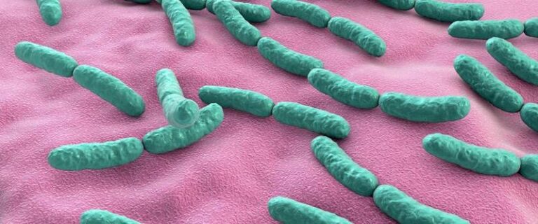 Jak zdrowie zależy od bakterii jelitowych? Odkryj ich wpływ na twoje samopoczucie!