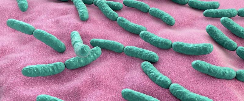 Jak zdrowie zależy od bakterii jelitowych? Odkryj ich wpływ na twoje samopoczucie!