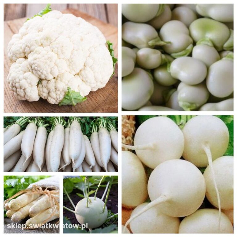 Zaskakujące korzyści z jedzenia białych warzyw, które warto poznać