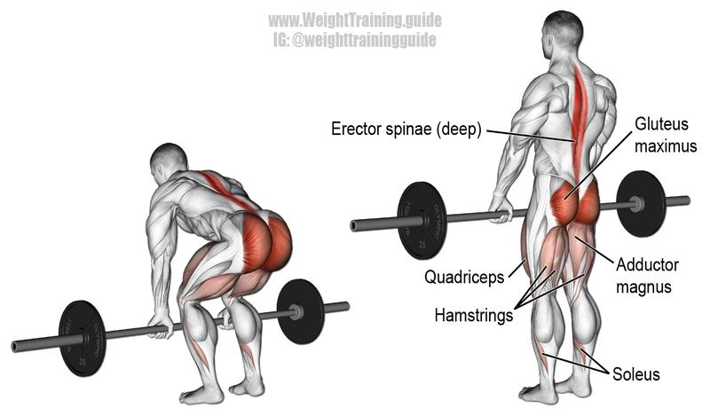 Jak osiągnąć perfekcję w martwym ciągu: kluczowe zasady poprawnej techniki