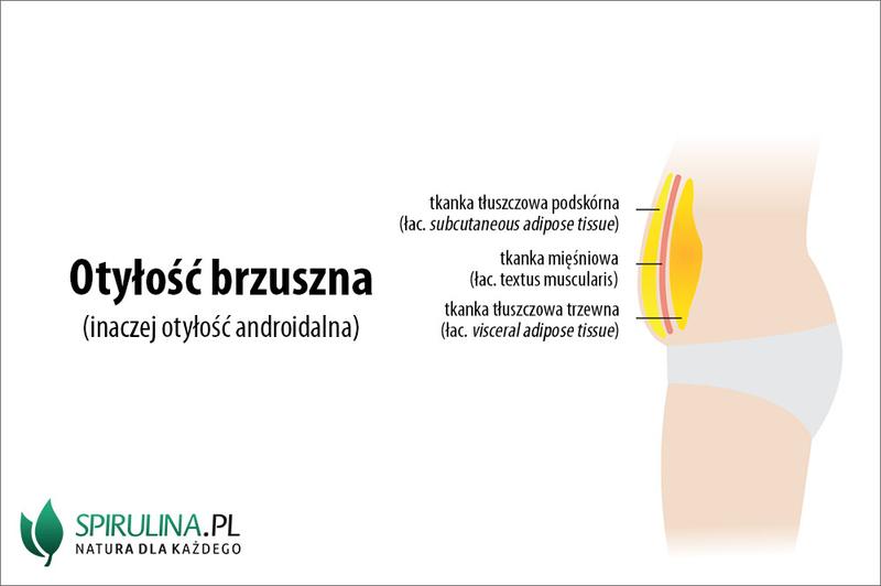 Jak przekonania o przyczynach nadwagi i otyłości wpływają na ryzyko przyrostu masy ciała?