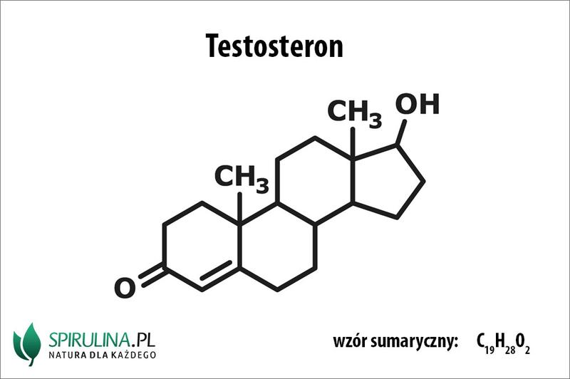 Dieta a poziom testosteronu