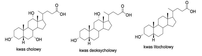 Terapia kwasem deoksycholowym