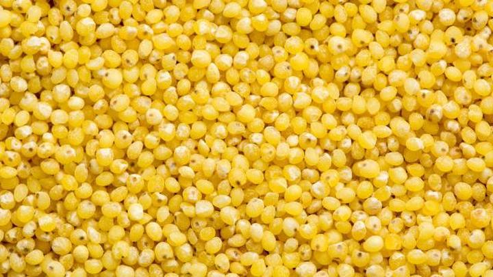 Wartości odżywcze kaszy jaglanej