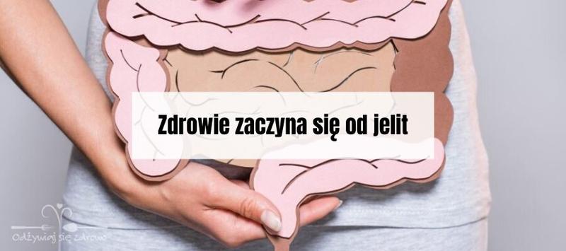 Znaczenie probiotyków