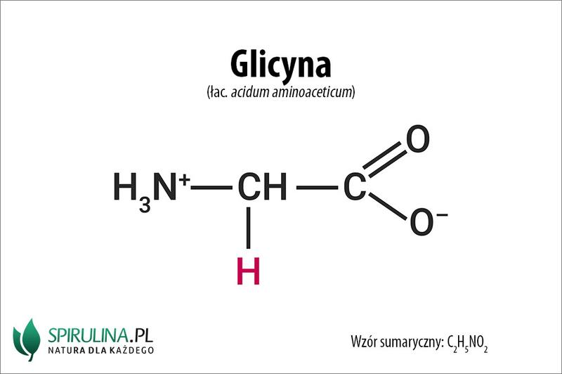 Glicyna i regeneracja organizmu