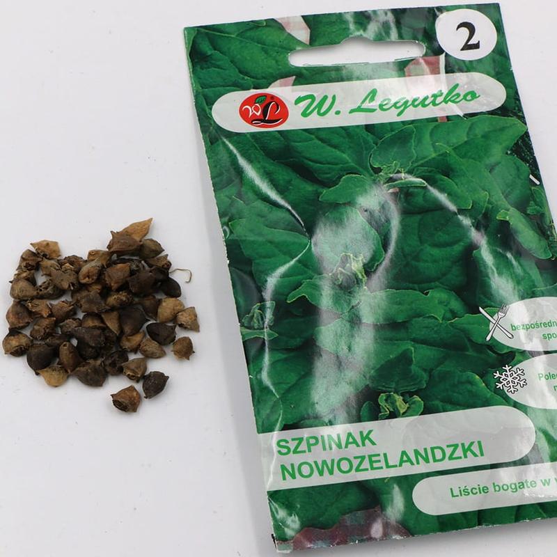 Historia i uprawa szpinaku