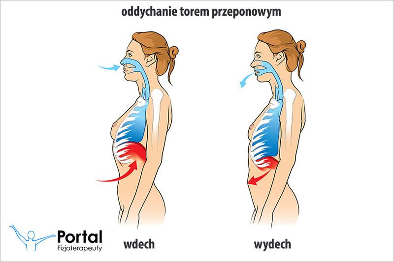 Jak oddychanie przeponowe może wpłynąć na Twoje wyniki sportowe?
