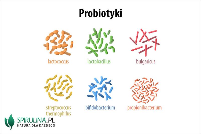 Mikrobiota jelitowa i metabolizm