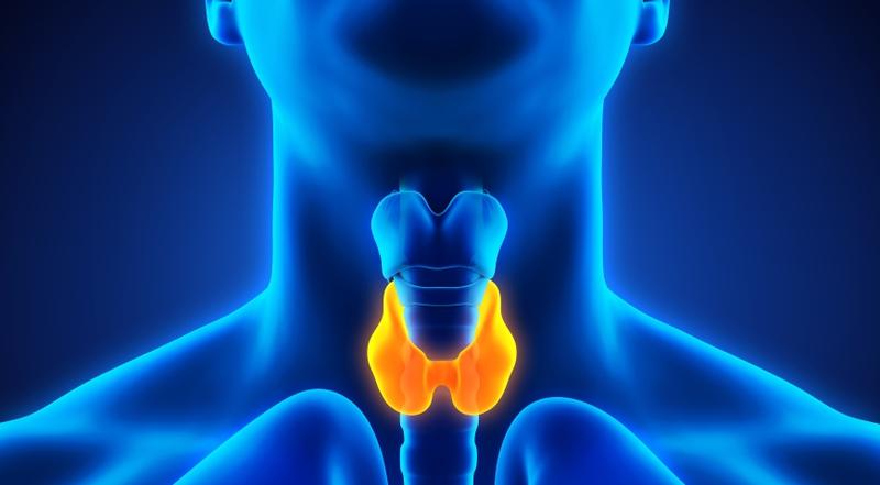 Styl życia a zdrowie tarczycy
