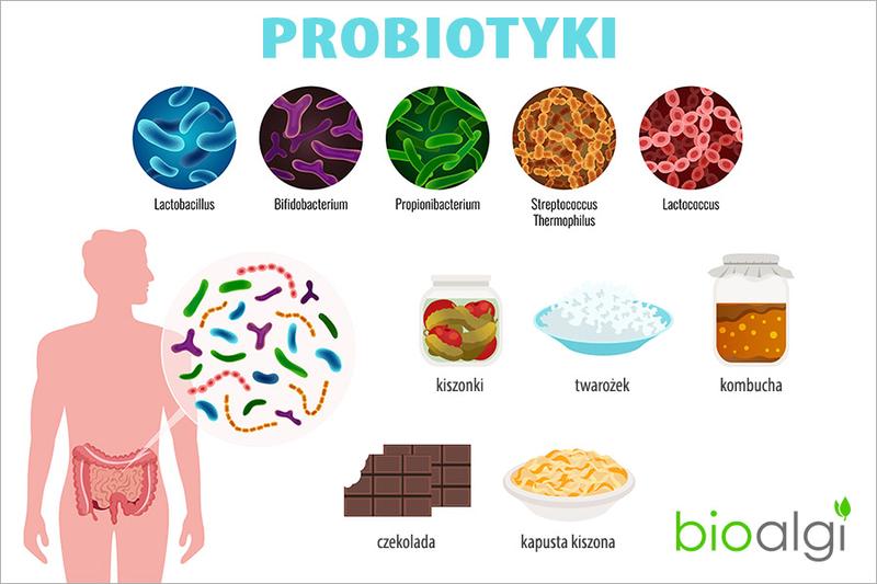Probiotyki a redukcja tkanki tłuszczowej – jak mikroflora wpływa na naszą sylwetkę?