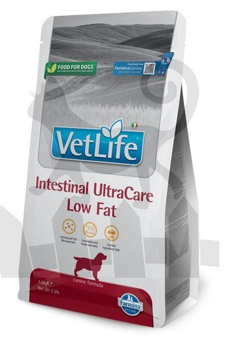 Psychologia jedzenia i wybory żywieniowe