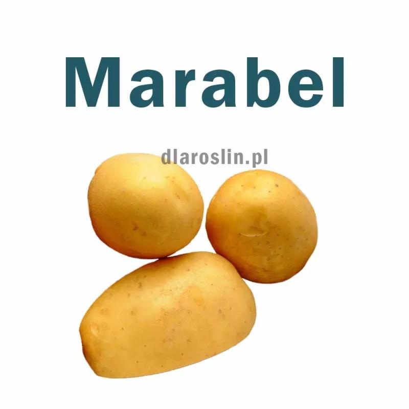 Wartości odżywcze ziemniaków