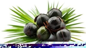 Odkryj niezwykłe właściwości palmy sabalowej i ich wpływ na zdrowie