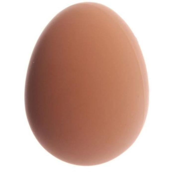 Odkryj tajemnice: co siedzi w jaju i jakie skarby kryje?