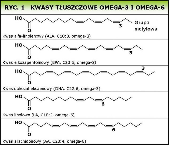 Produkcja kwasów omega a środowisko