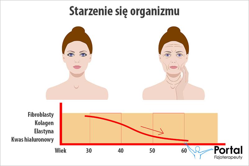 Stres oksydacyjny a dieta