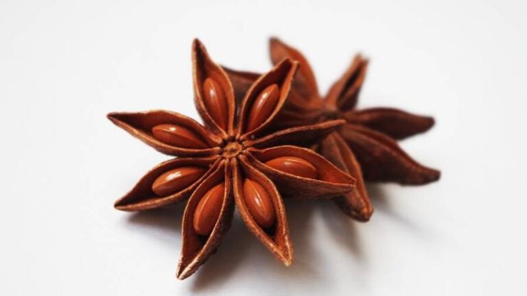 Zaskakujące właściwości anyżu, które warto poznać