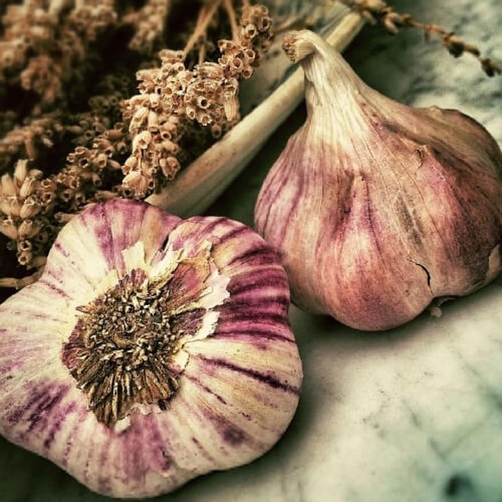 Odkryj naturalne antybiotyki w twojej kuchni i wzmocnij odporność codziennie